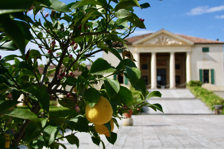 Lemon trees at Villa Emo by Andrea Palladio, Fanzolo