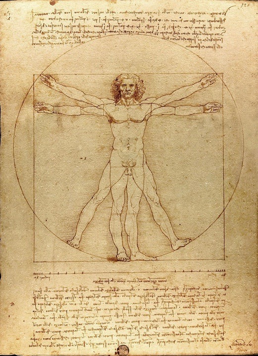 Leonardo da Vinci, Vitruvian Man, Venice, Accademia Gallery, Bossi collection